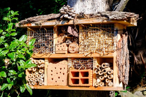 how to build a bug hotel - Binit